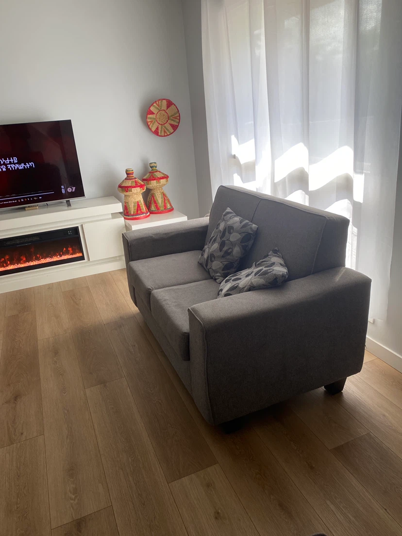 Grey Loveseat Sofa
