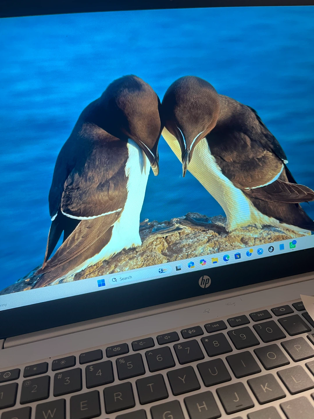 HP Laptop - photo 2