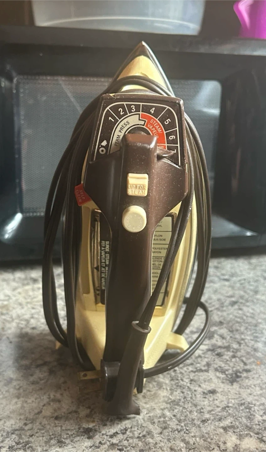 Proctor Silex Steam Iron