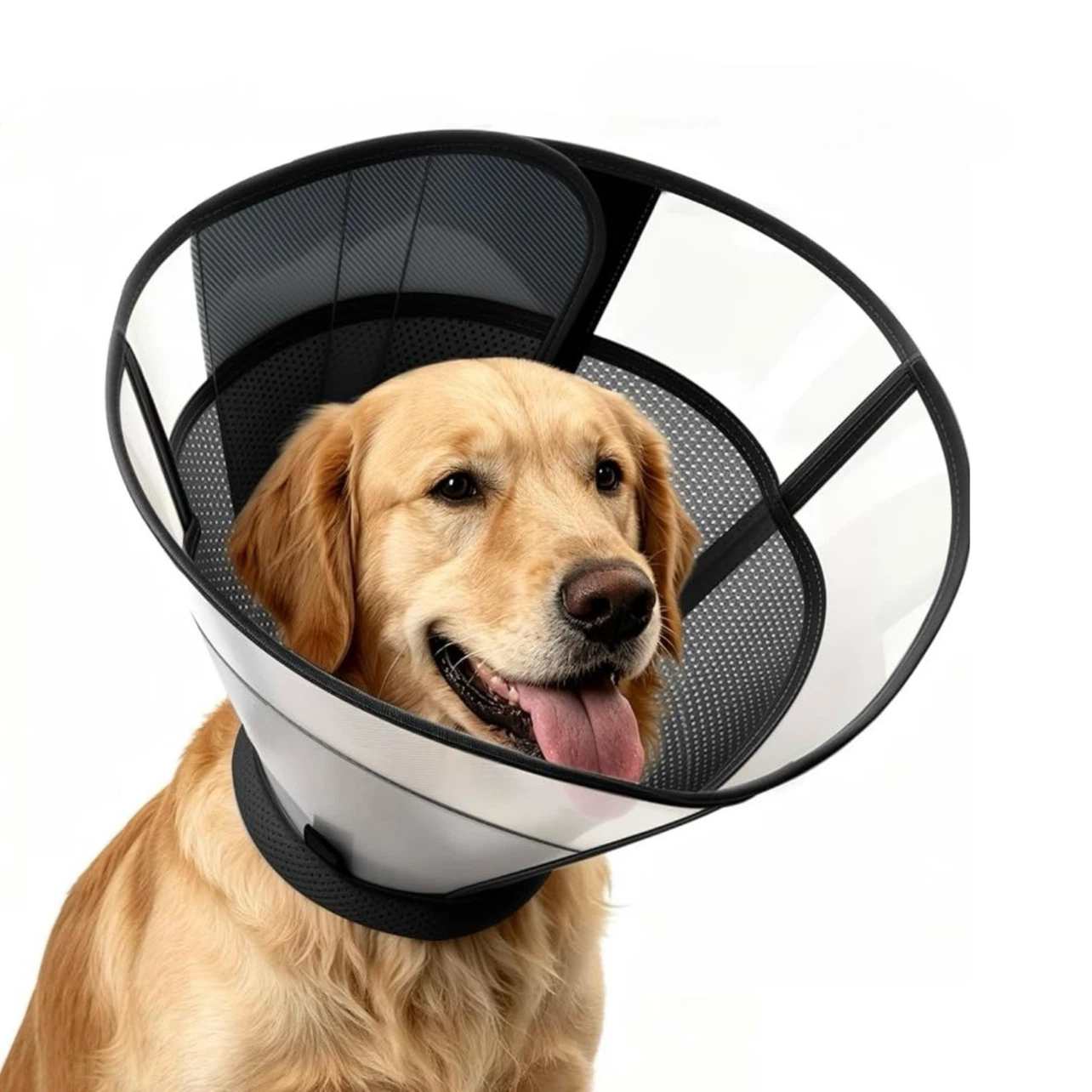 WinWeal Soft Dog Cone Collar - Medium