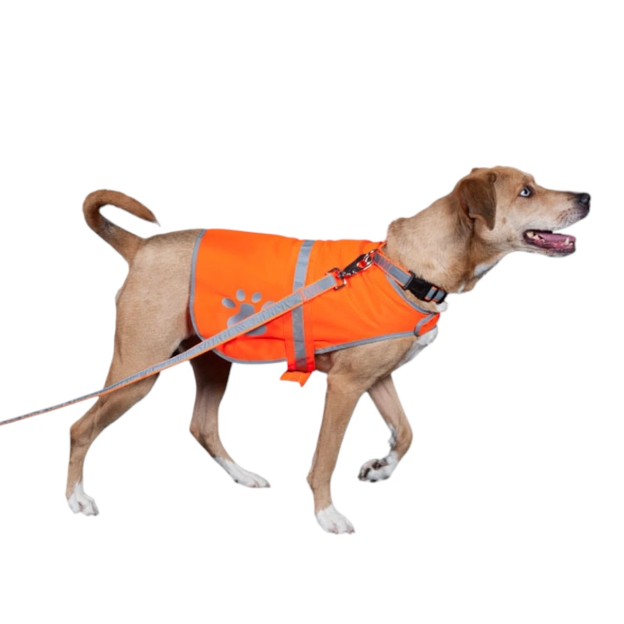 Petflect Orange Reflective Dog Safety Vest