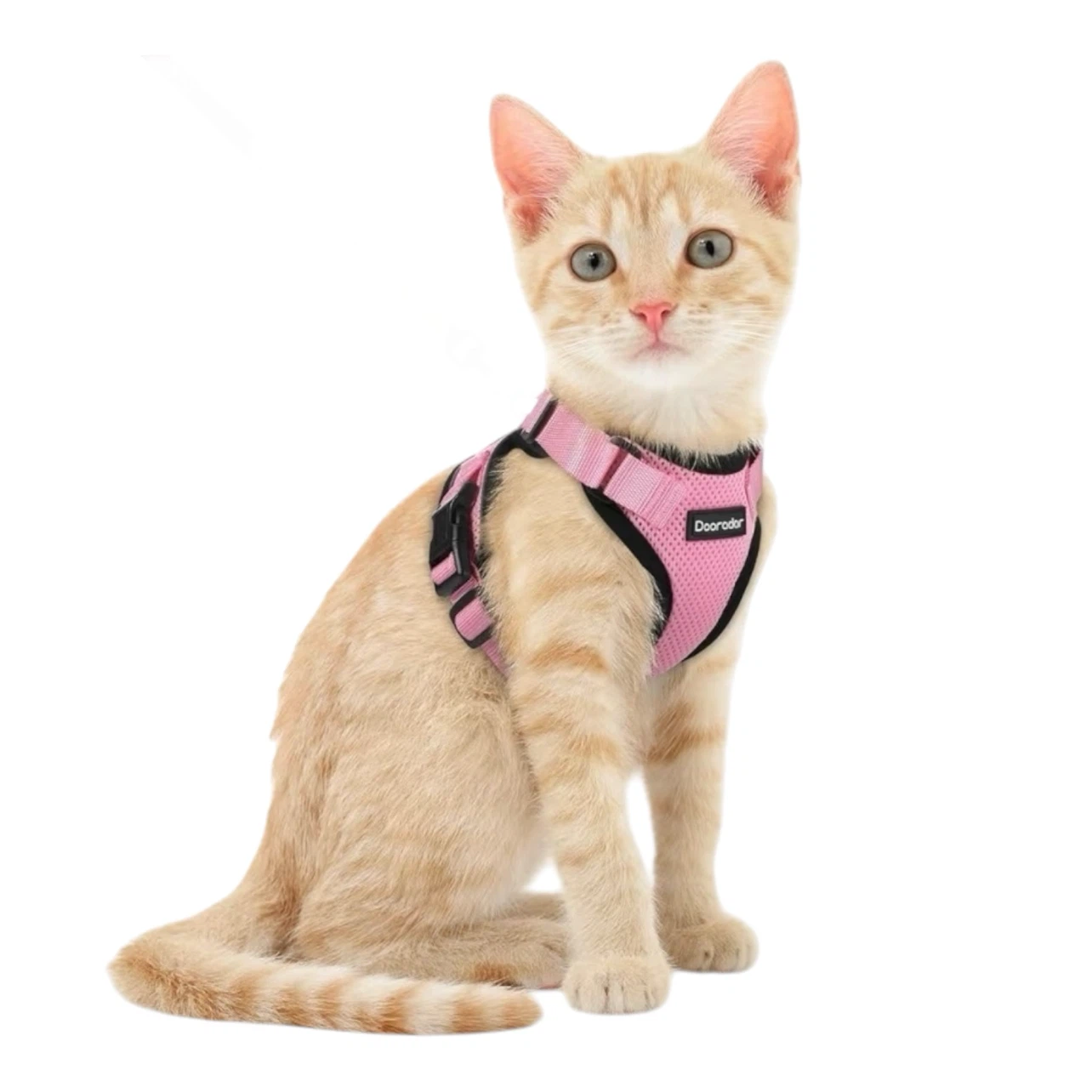 Dooradar Pet Harness - for Cats or XS | Toy Dogs
