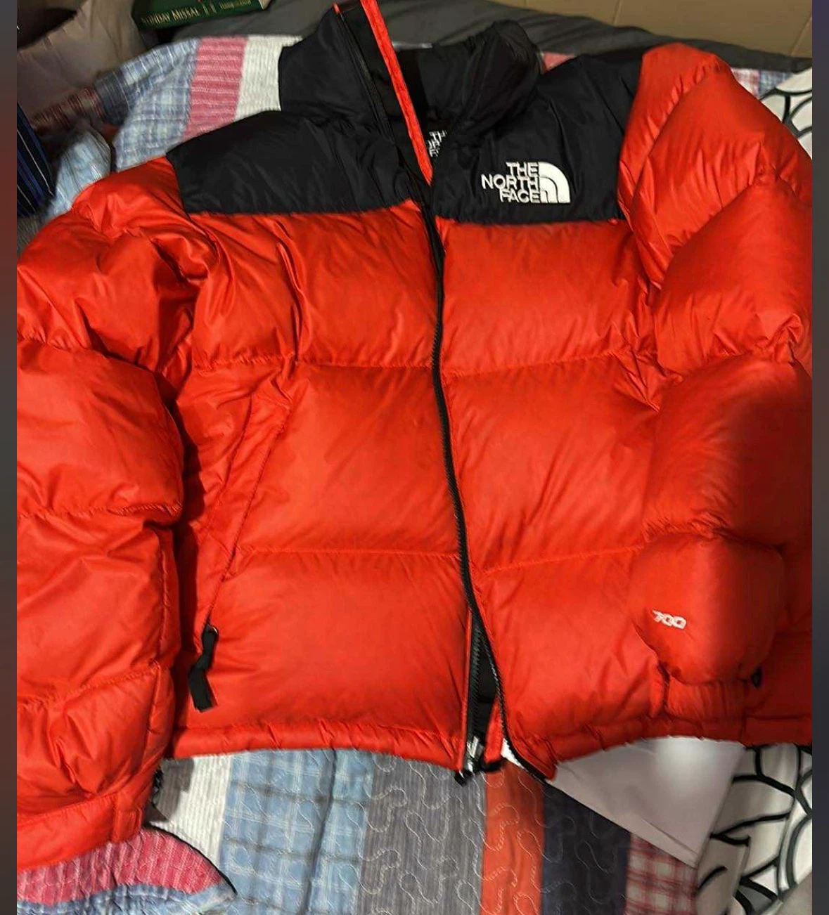 1996 Nutse Retro Jacket- The North Face - photo 4