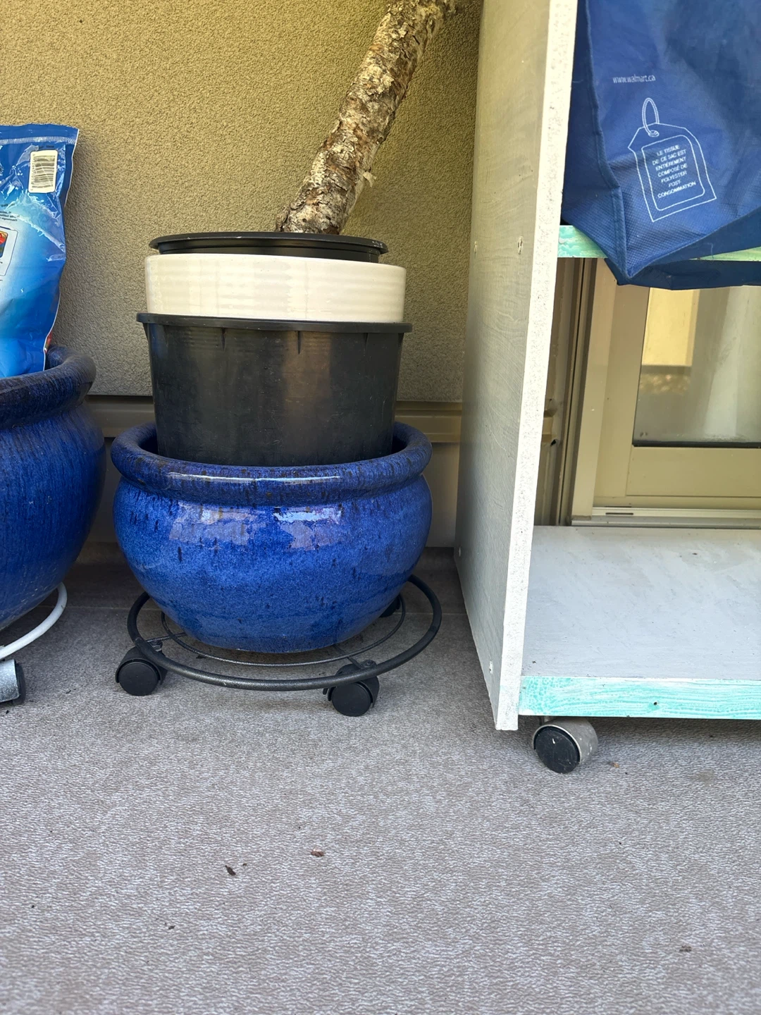 Blue Ceramic Pot with Rolling Stand