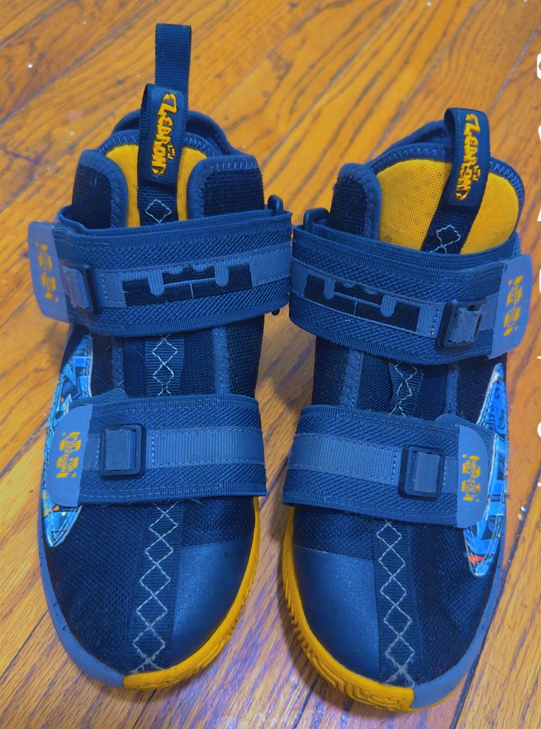Nike LeBron James Basketball Shoes