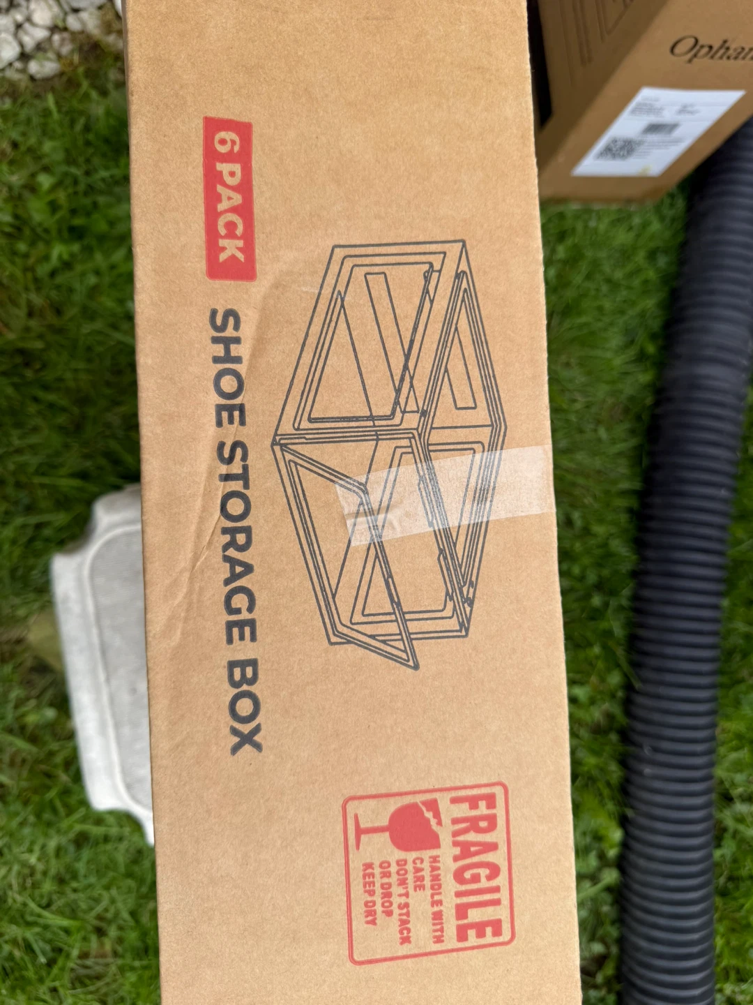 6 Pack Shoe Storage Box