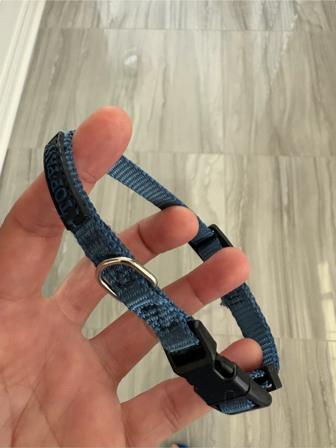 Blue Dog Collar