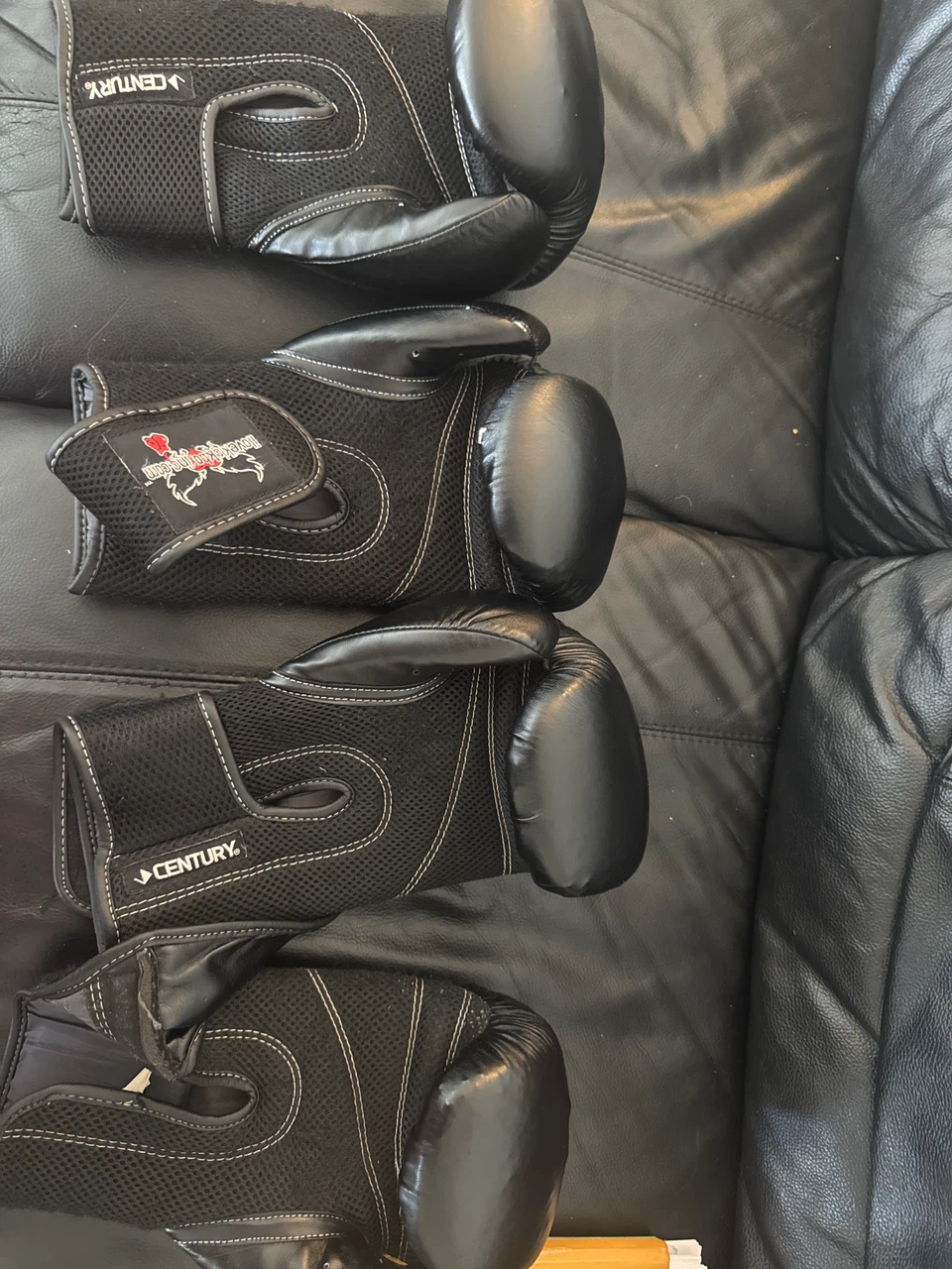 Century Boxing Gloves
