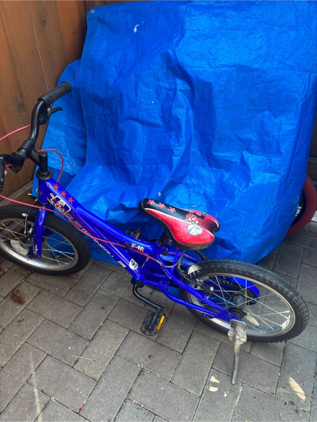 Louis Garneau F-16 Kids Bike