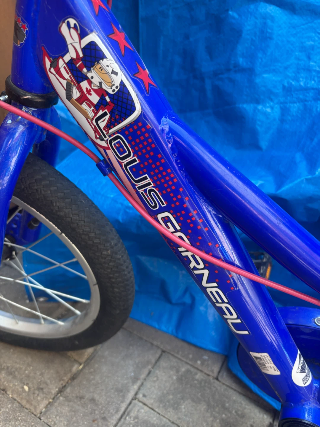 Louis Garneau F-16 Kids Bike - photo 2