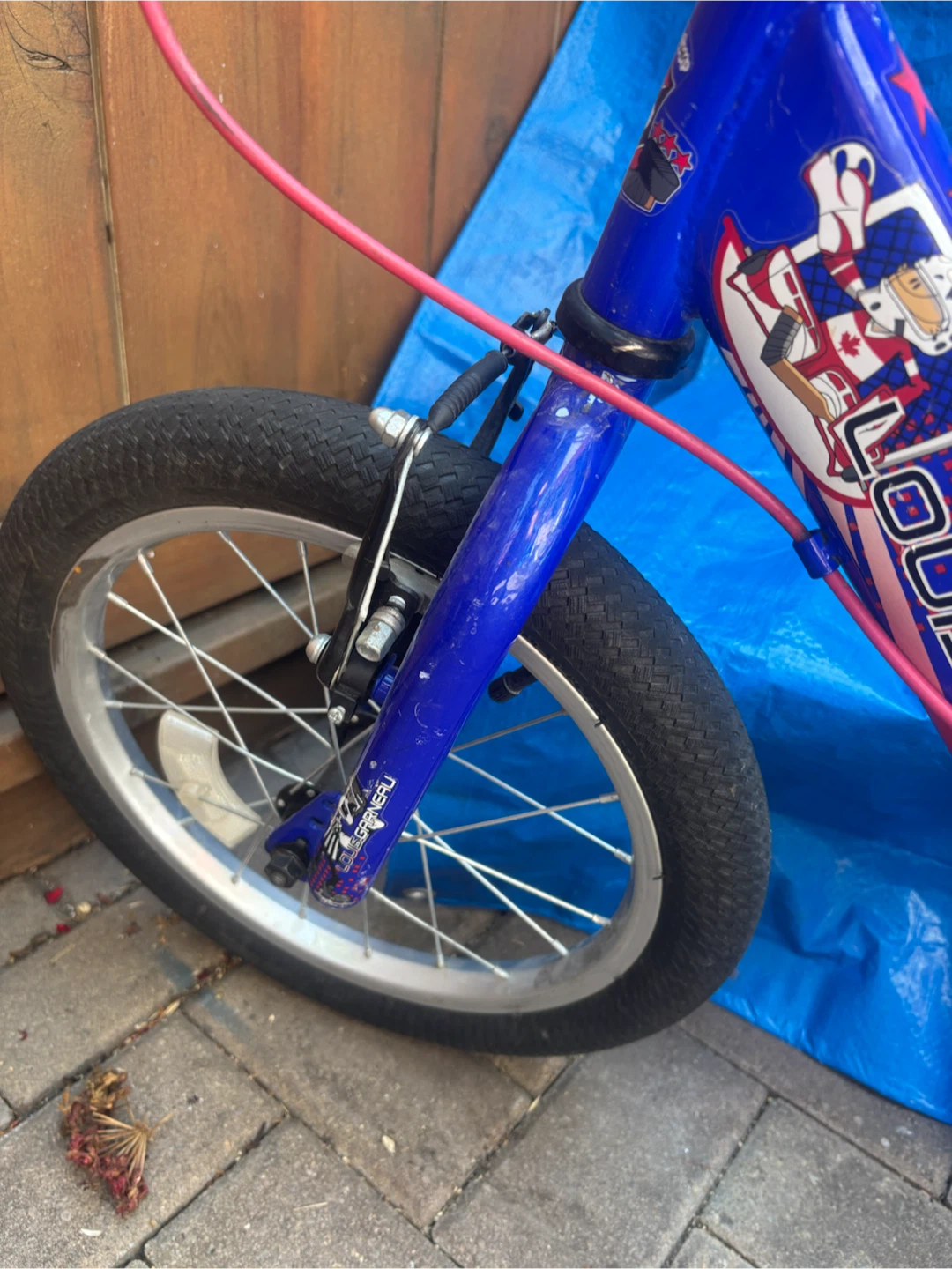 Louis Garneau F-16 Kids Bike - photo 3