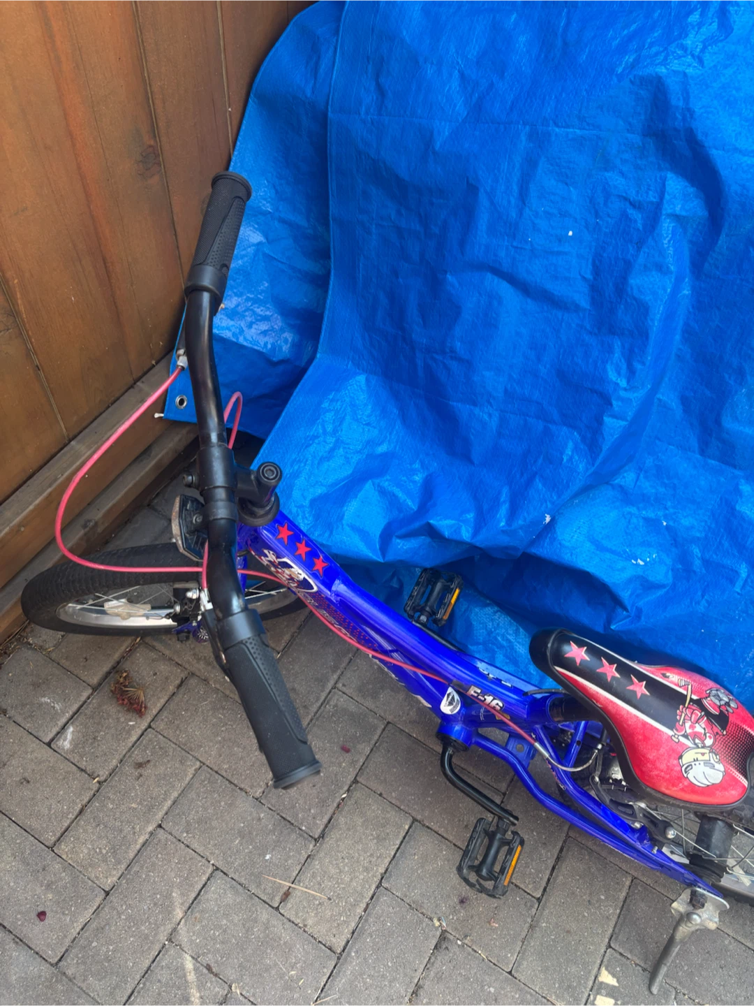 Louis Garneau F-16 Kids Bike - photo 4