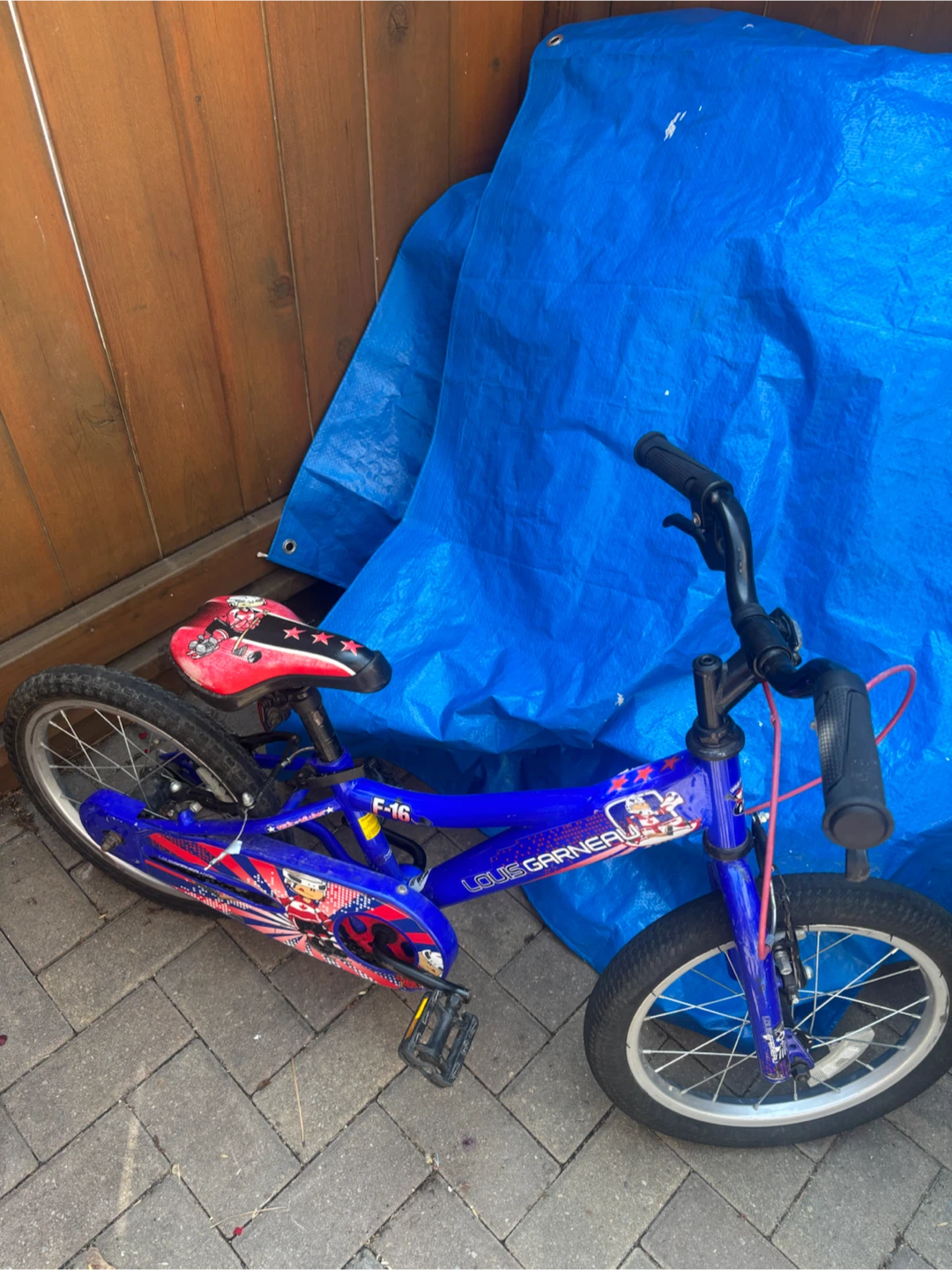 Louis Garneau F-16 Kids Bike - photo 5