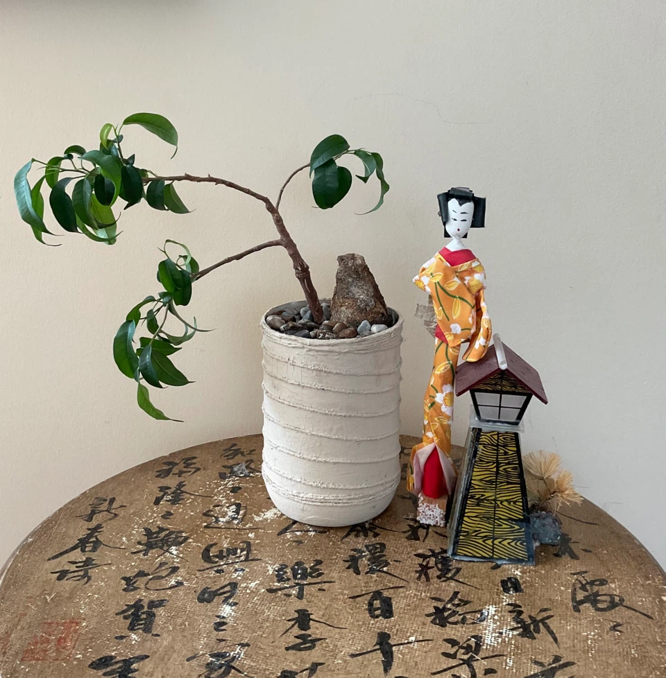 Unique Leaning Ficus Bonsai Tree with Accent Stone