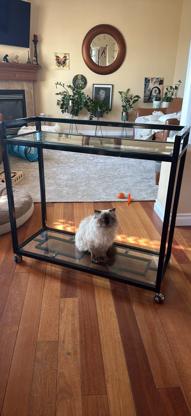 Rolling Bar Cart with Glass Shelves - photo 2