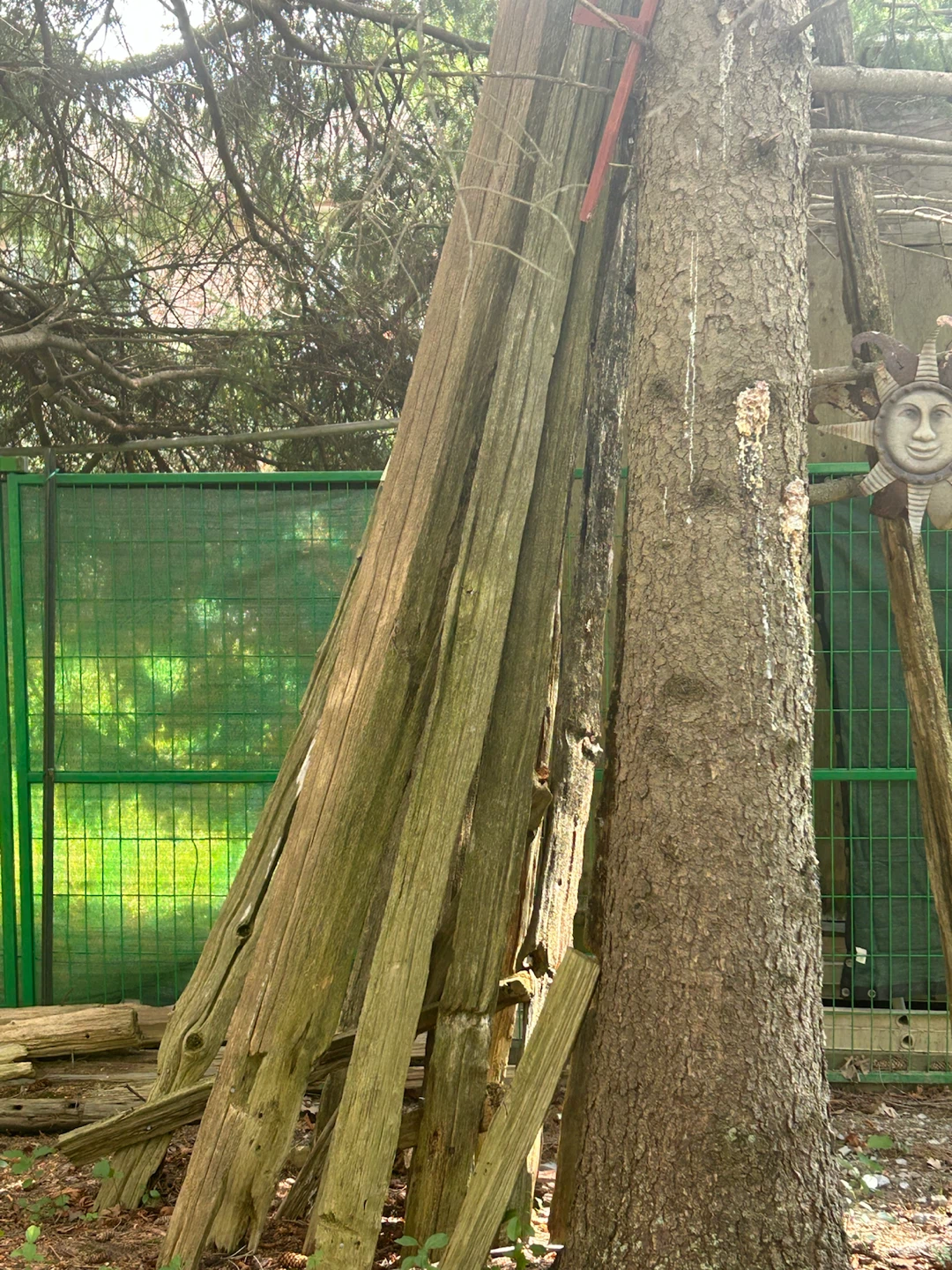 Wooden planks - photo 3
