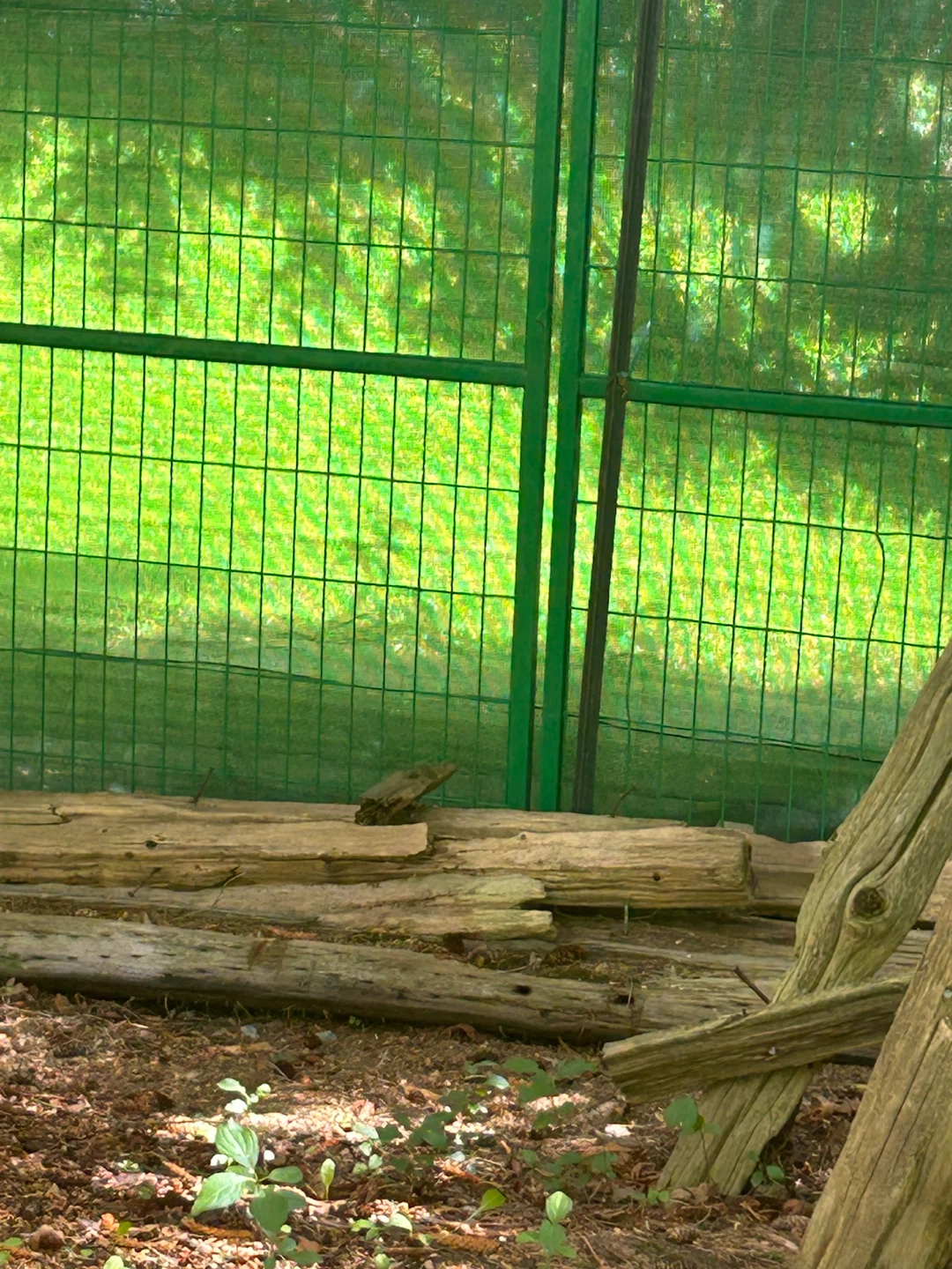 Wooden planks - photo 4