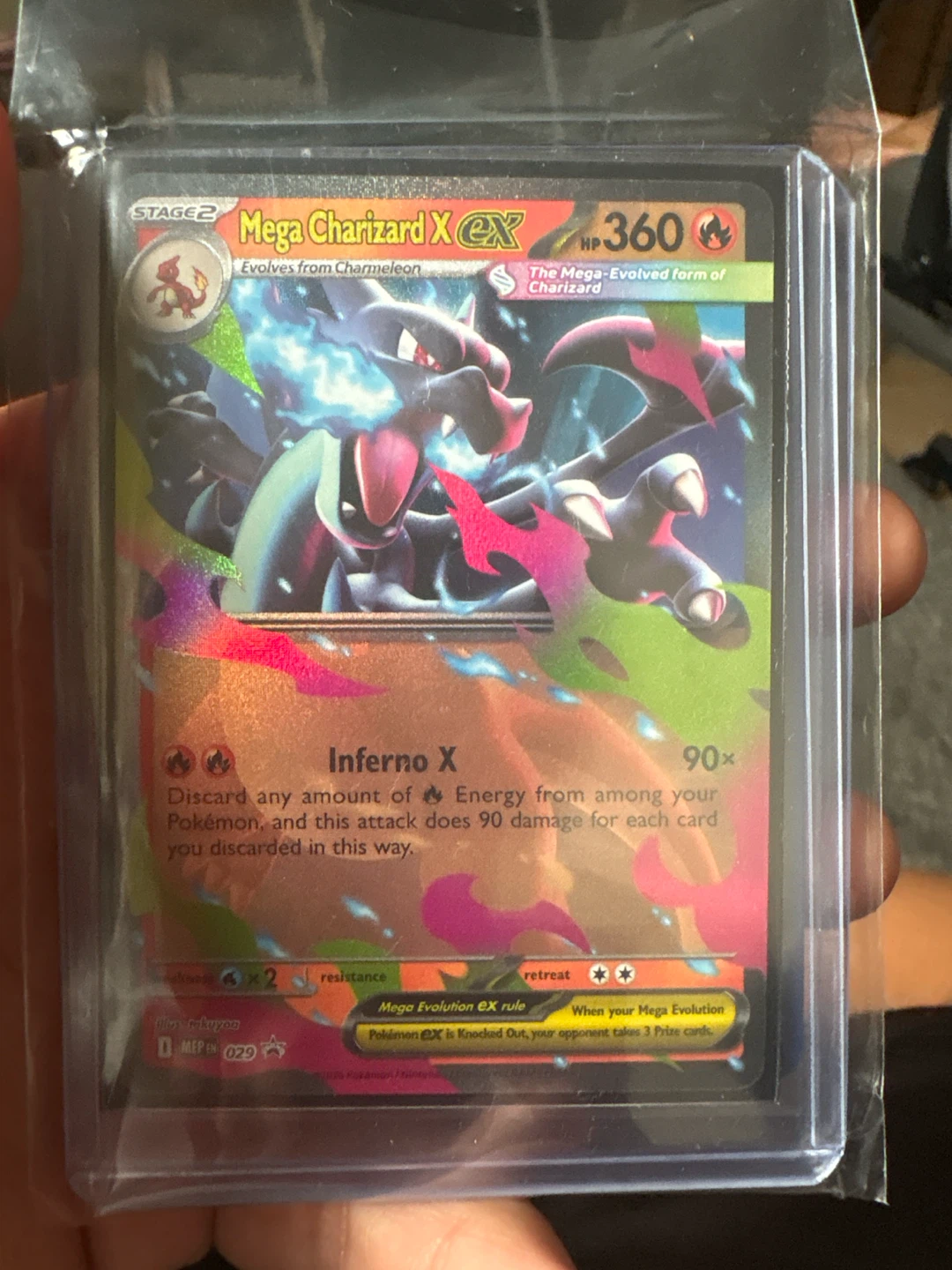 2 charizards