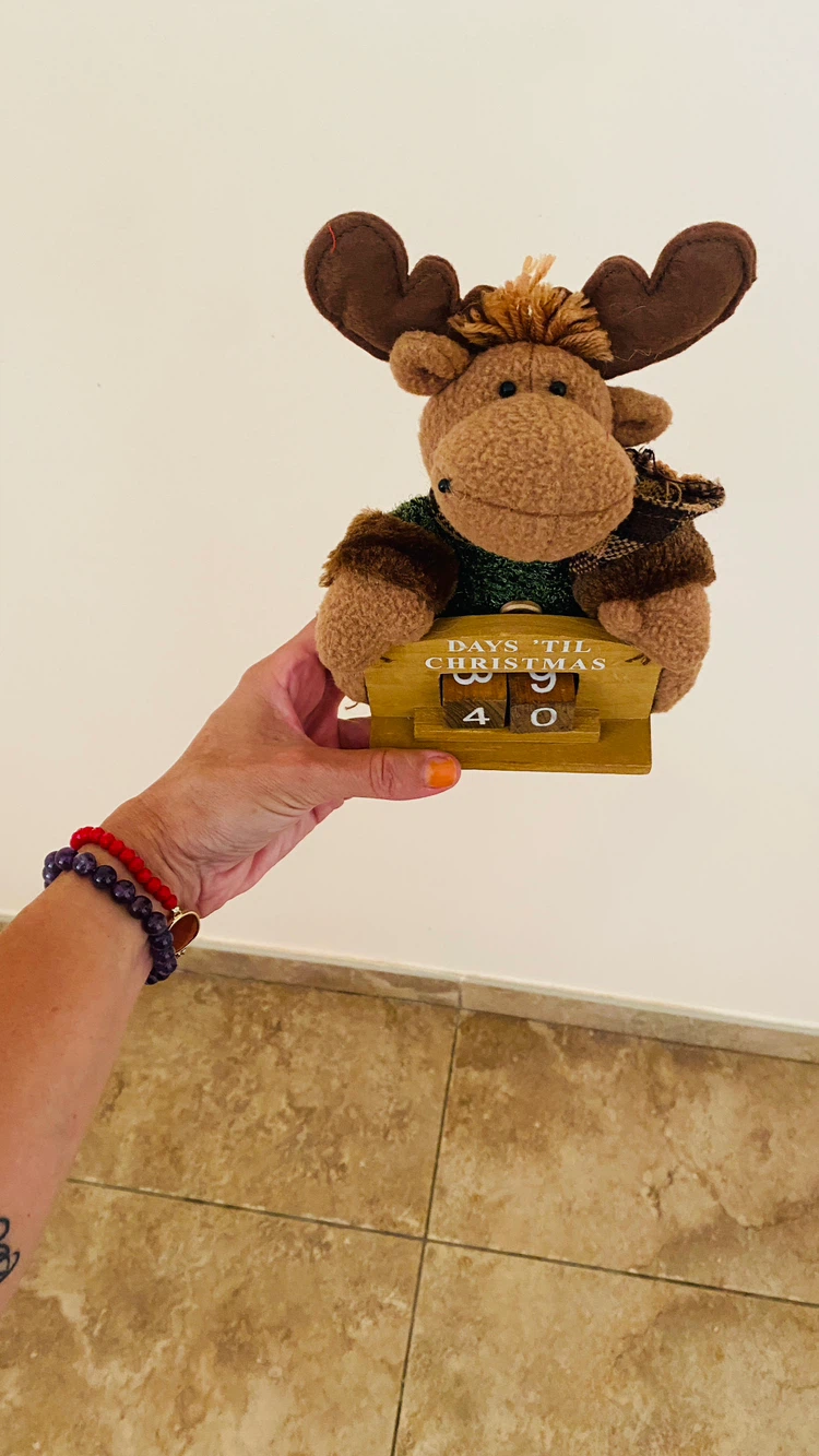8 inch Christmas countdown reindeer - photo 5