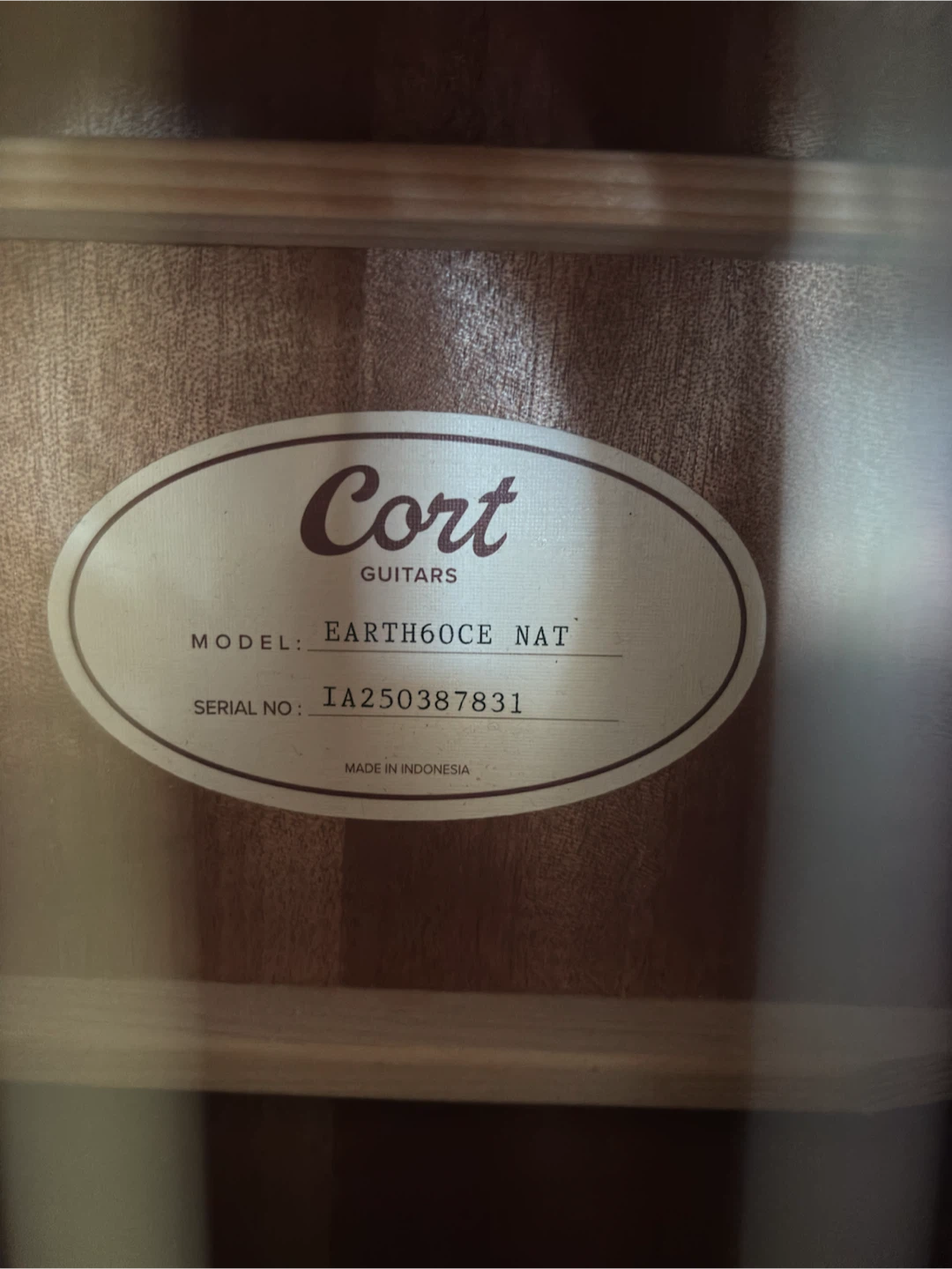 Cort Earth60CE – Acoustic-Electric Guitar - photo 5