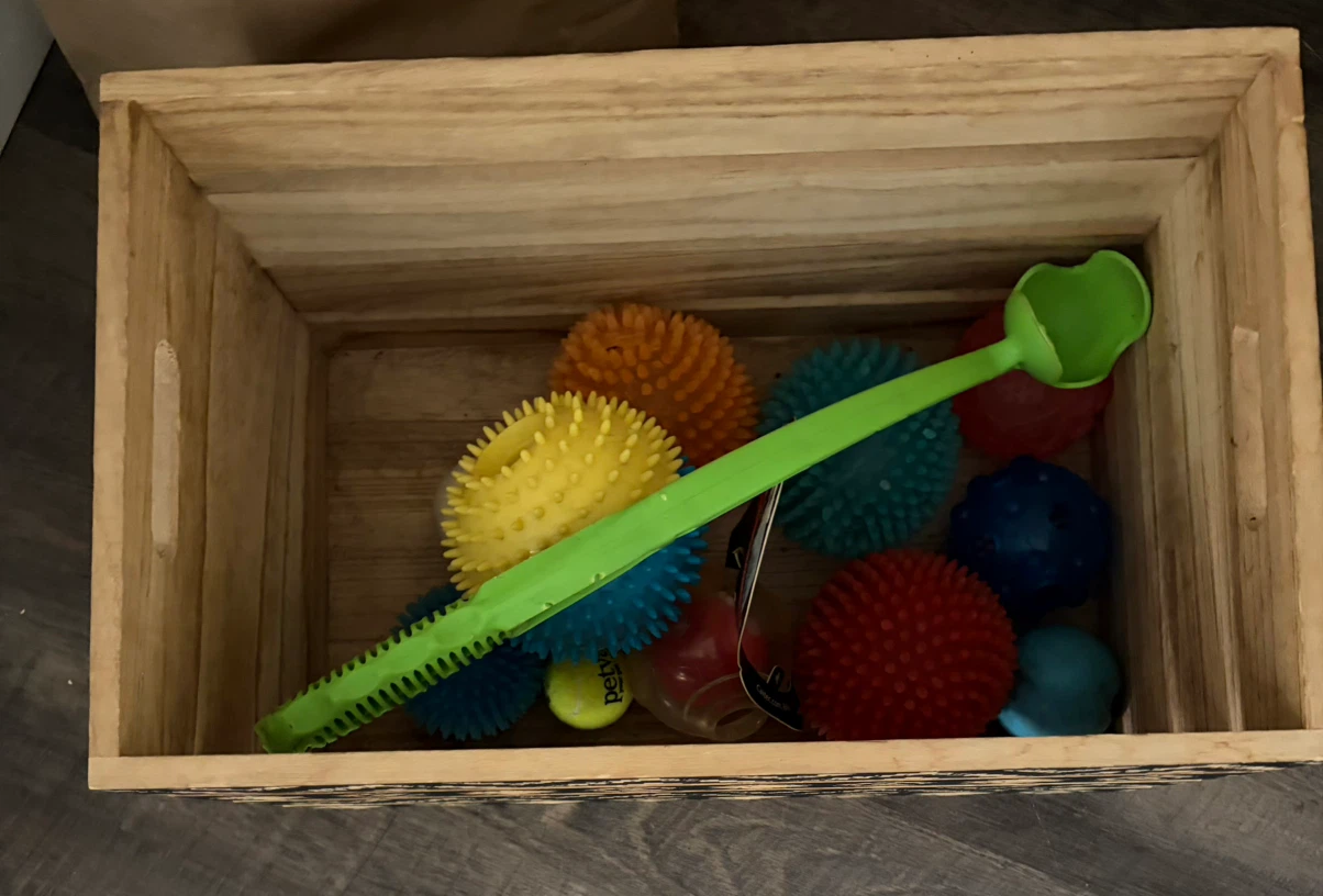 Wooden Crate with Assorted Dog Toys - photo 2