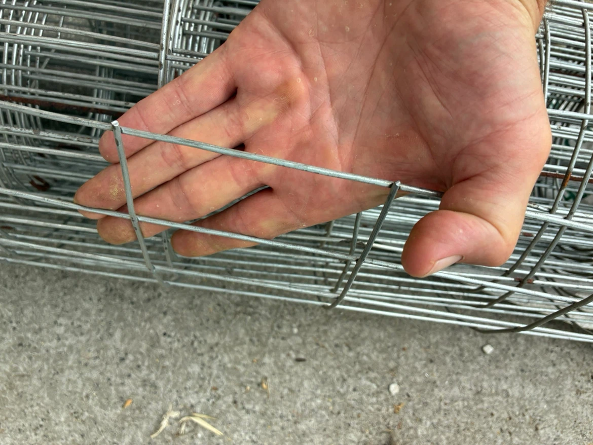 Wire Mesh Fencing