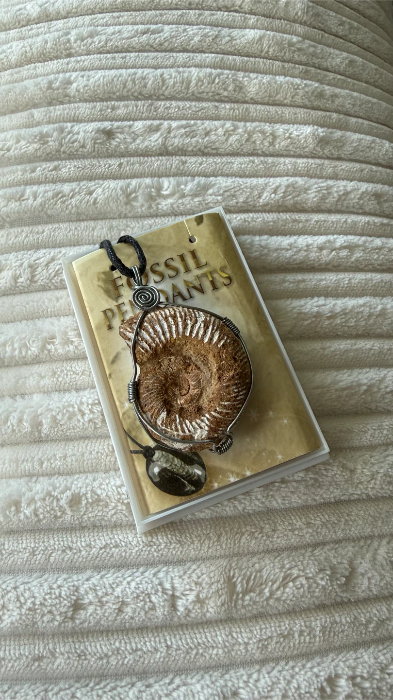 Ammonite Fossil Pendant Necklace