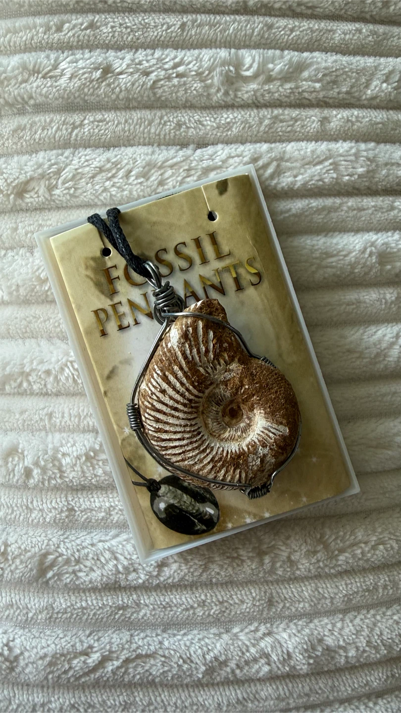 Ammonite Fossil Pendant Necklace - photo 2