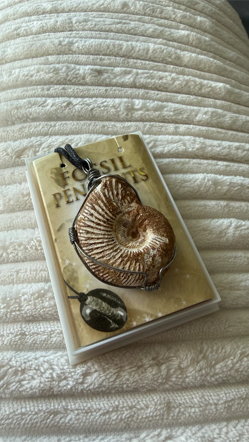 Ammonite Fossil Pendant Necklace - photo 3