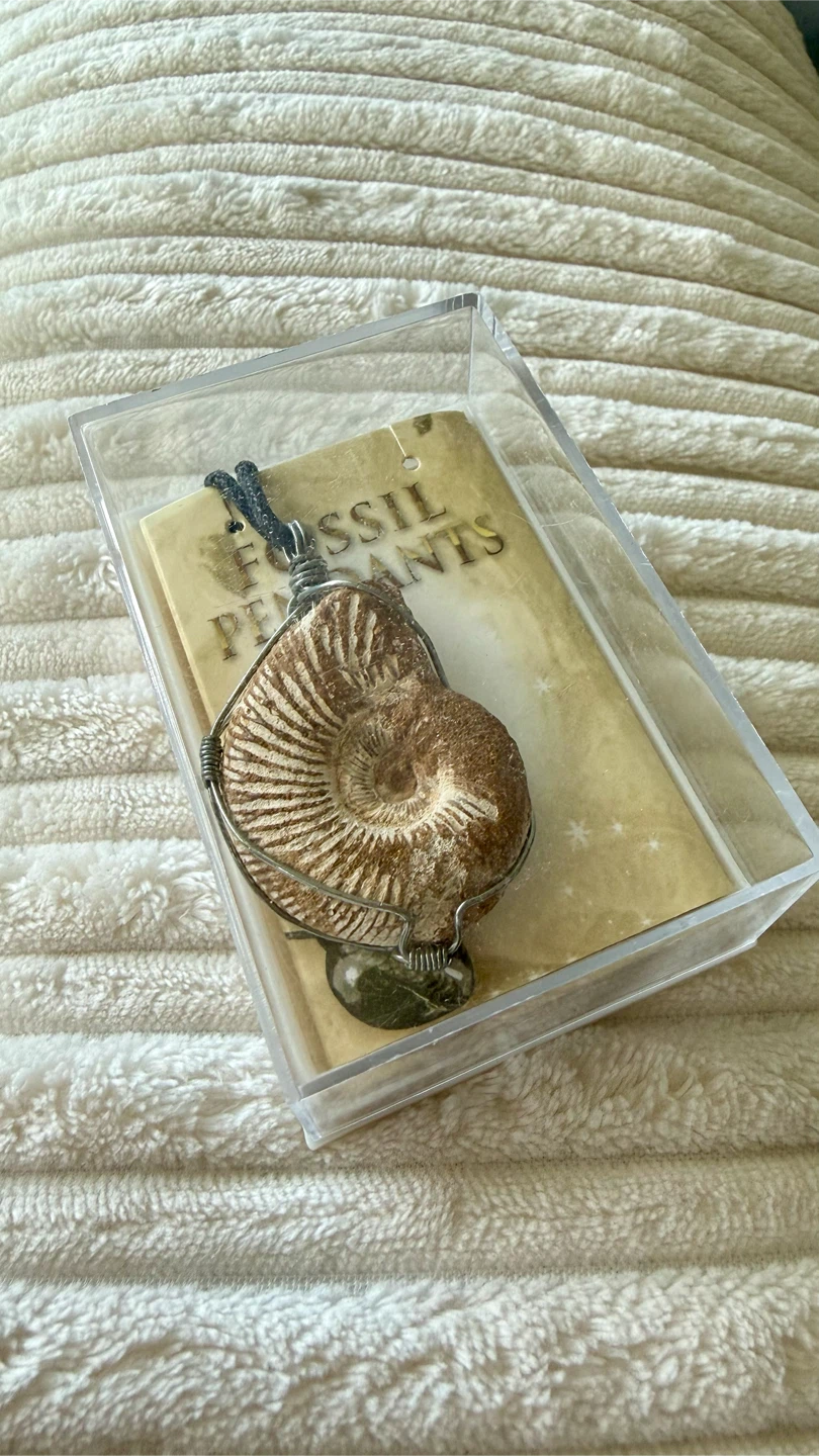 Ammonite Fossil Pendant Necklace - photo 5