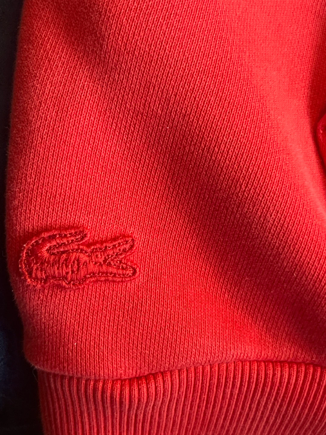 Lacoste Relaxed Fit Hoodie - Red - photo 4
