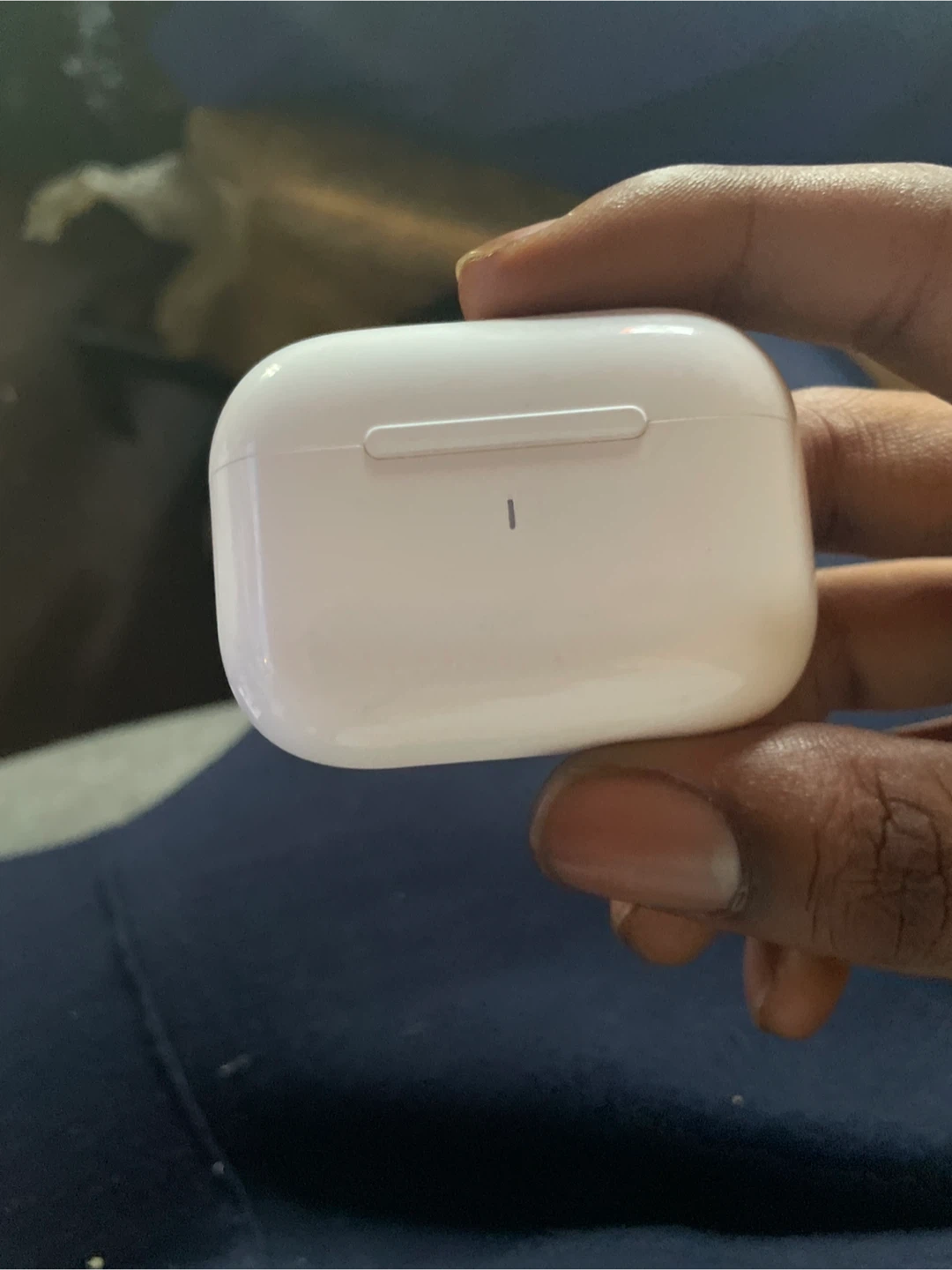 Apple AirPods Pro Charging Case