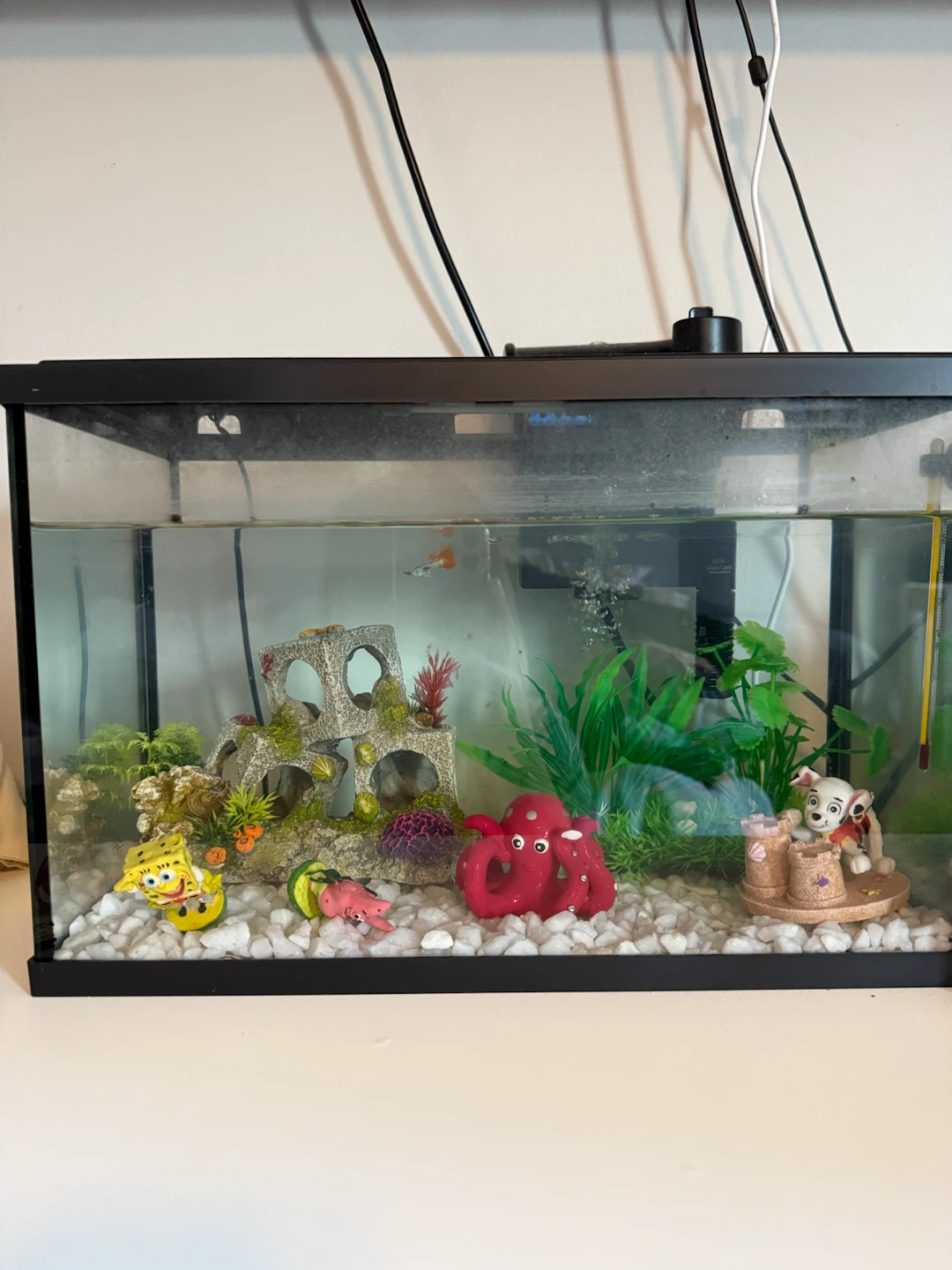 Aquarium Starter Kit with Decorations and Accessories
