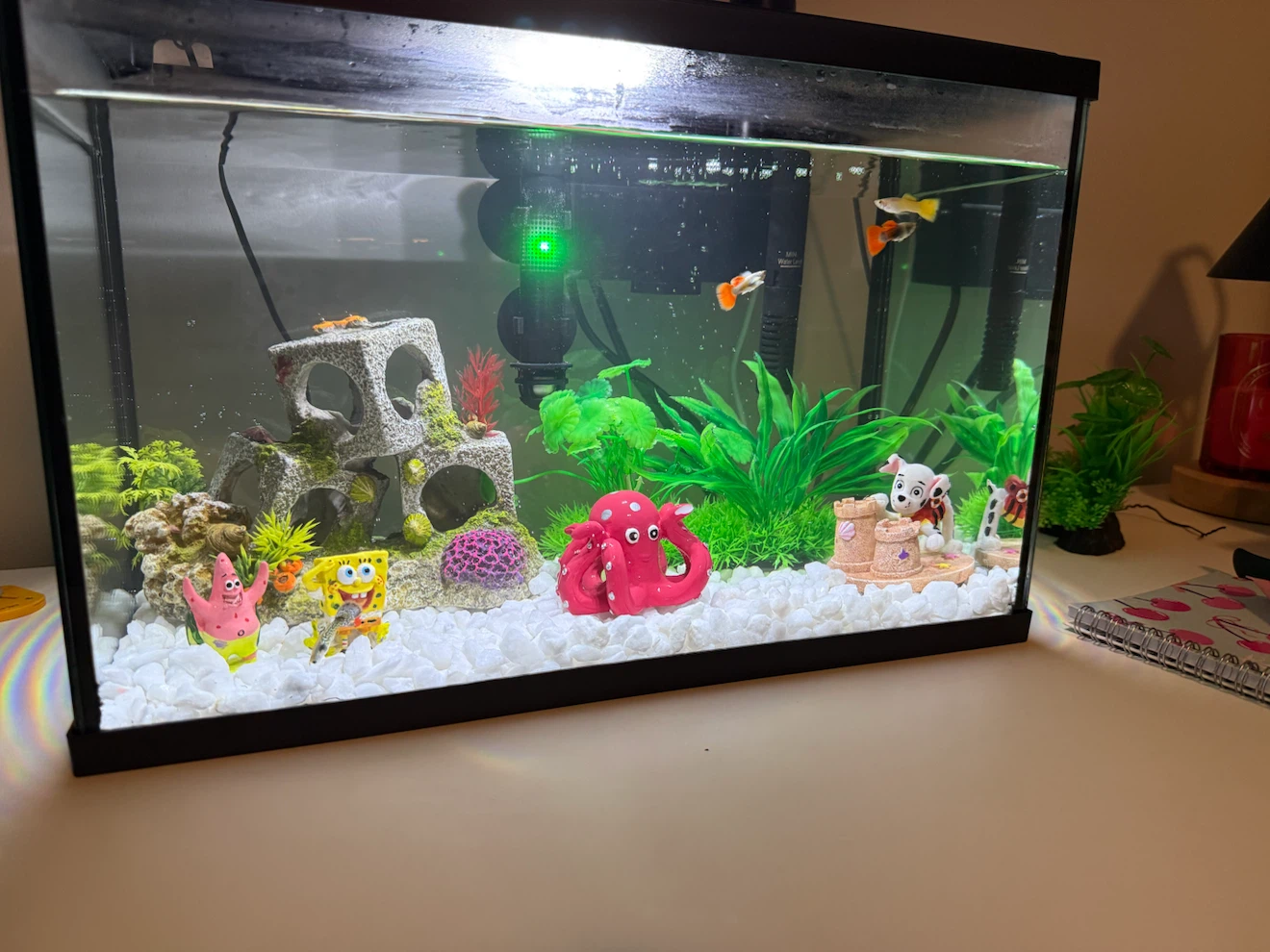 Aquarium Starter Kit with Decorations and Accessories - photo 3