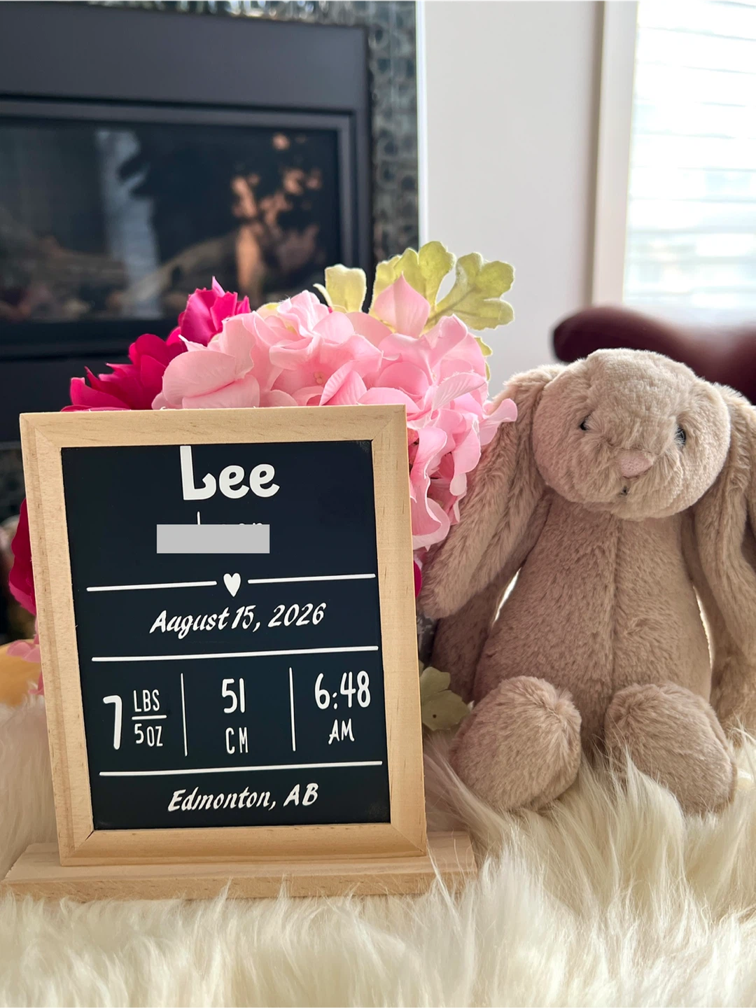 Personalized Baby Sign