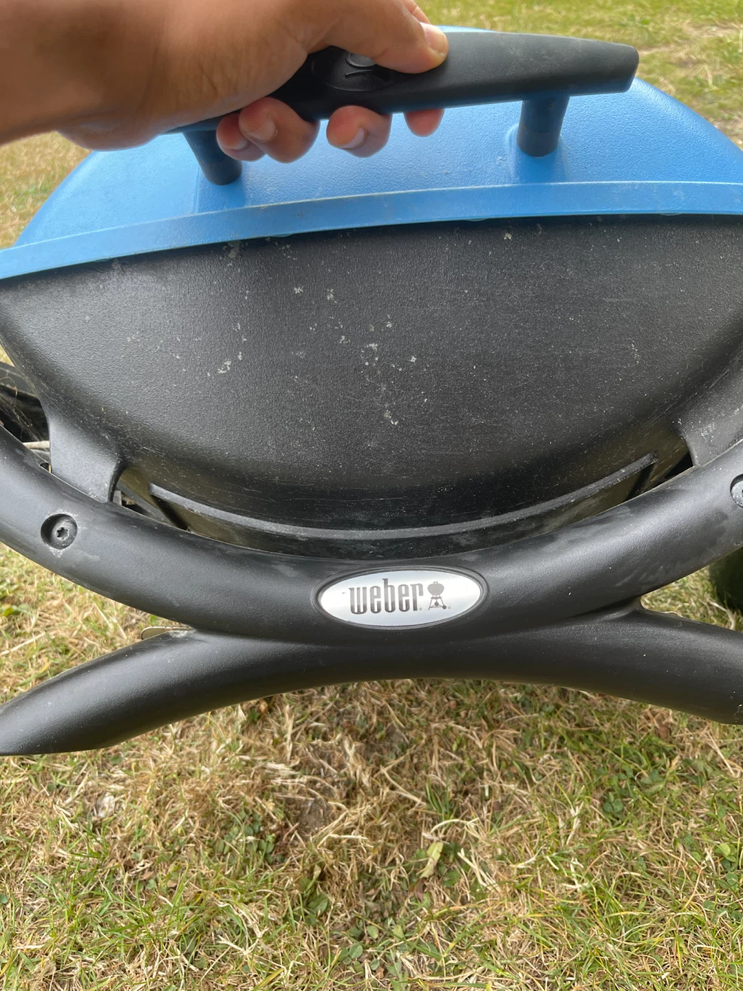 Weber Q Portable Propane Grill