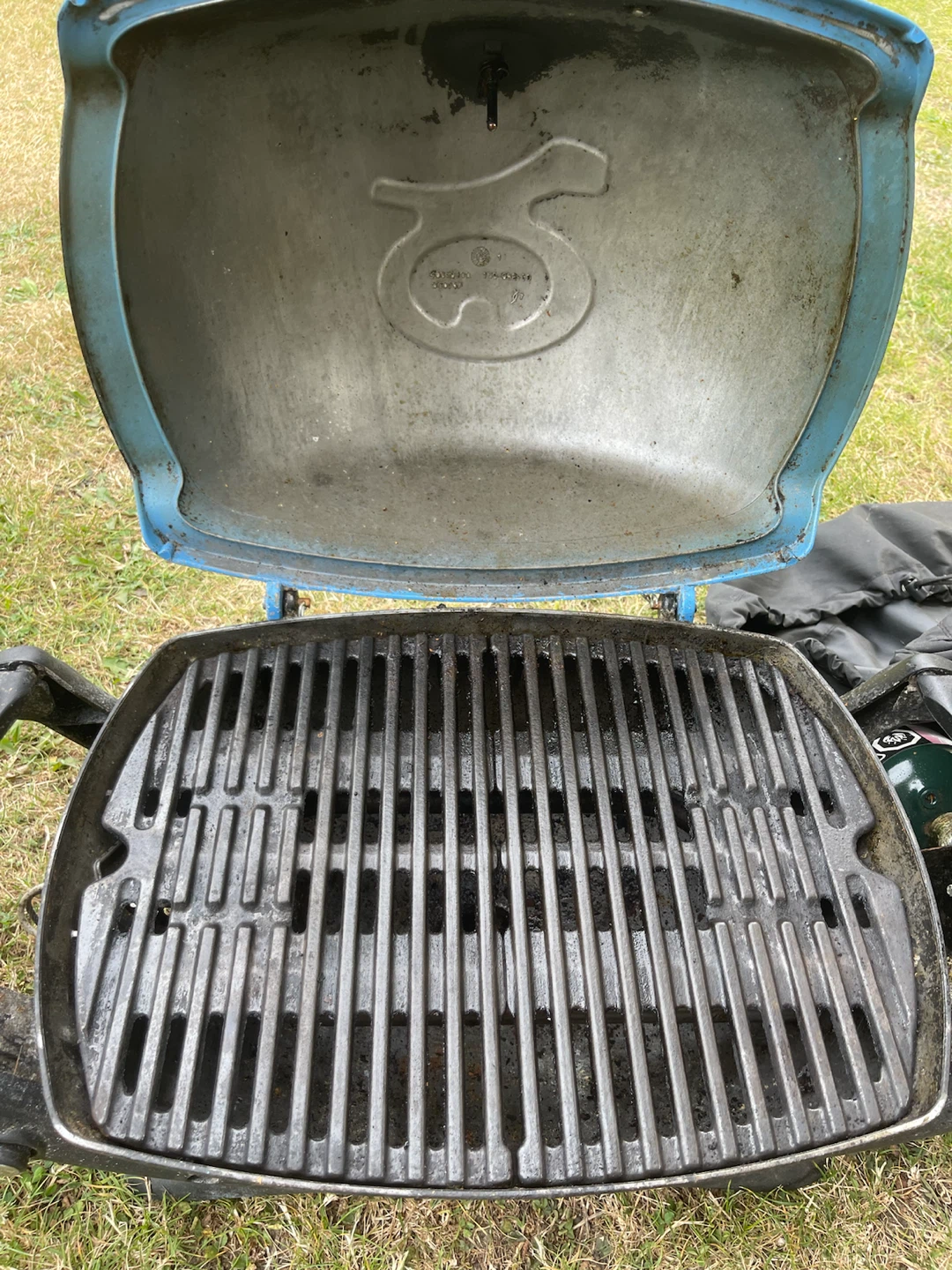 Weber Q Portable Propane Grill - photo 4