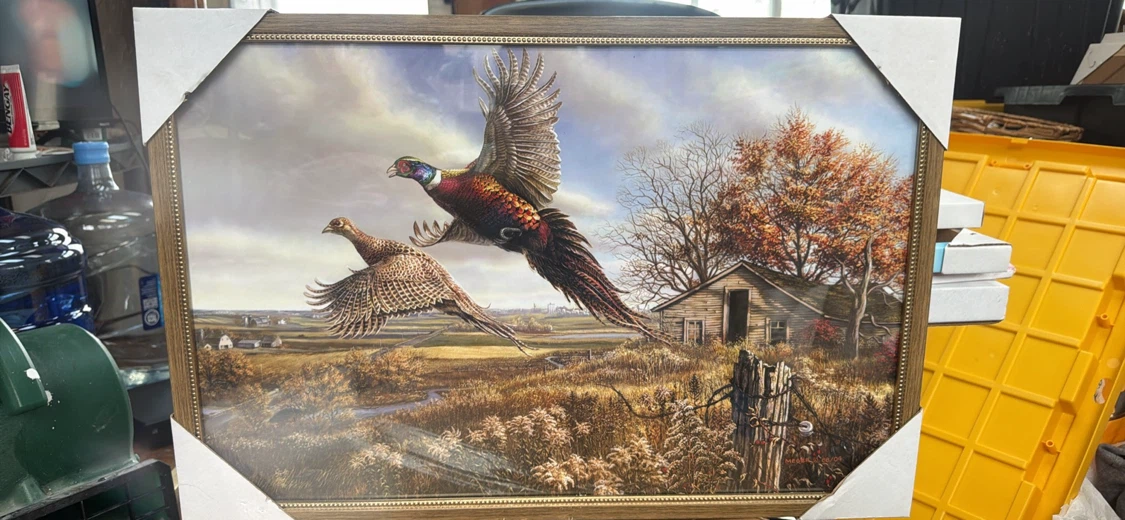 Pheasant Artwork Framed Print