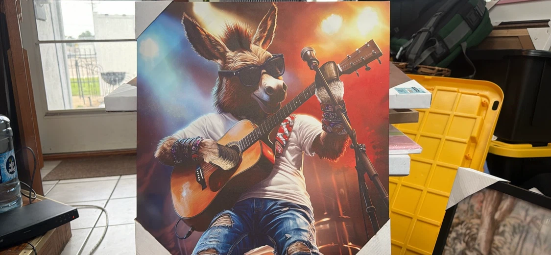 Canvas Print Wall Art - Donkey Playing Guitar