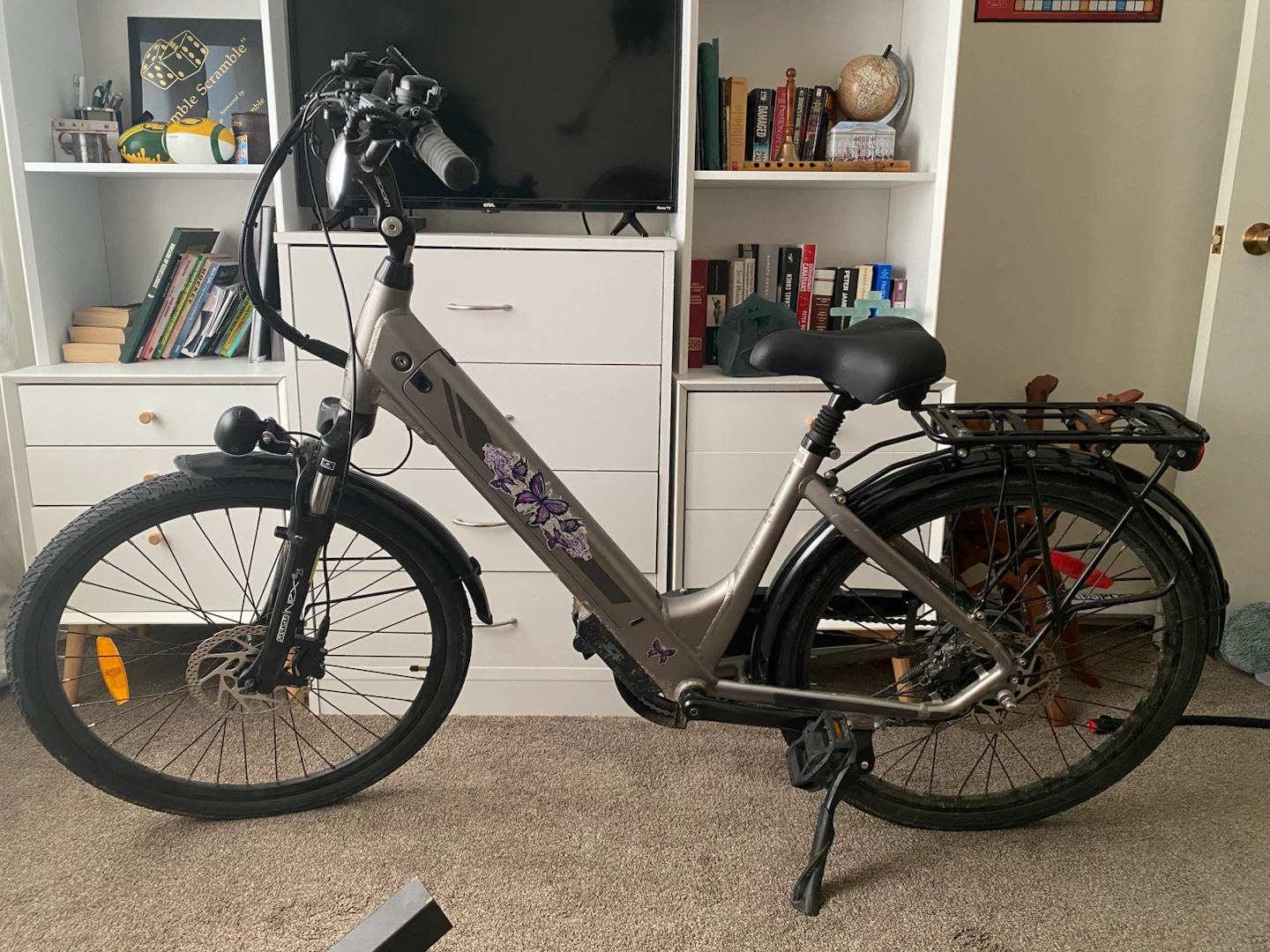 ebgo electric bike with 24” wheels