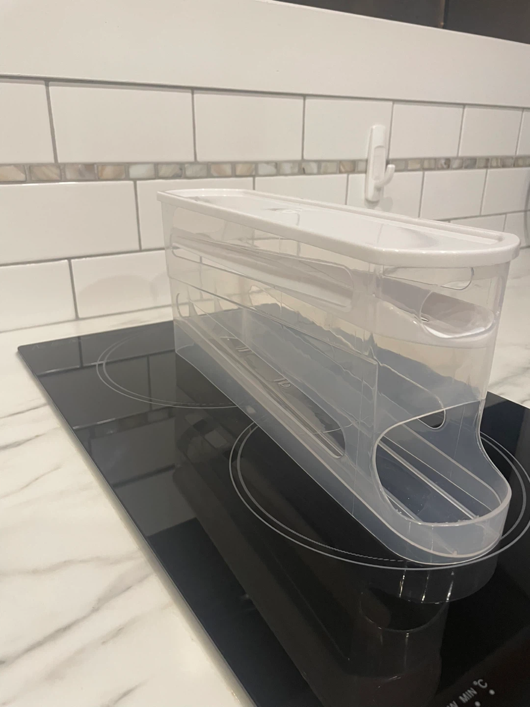 Clear Plastic Egg Storage Container