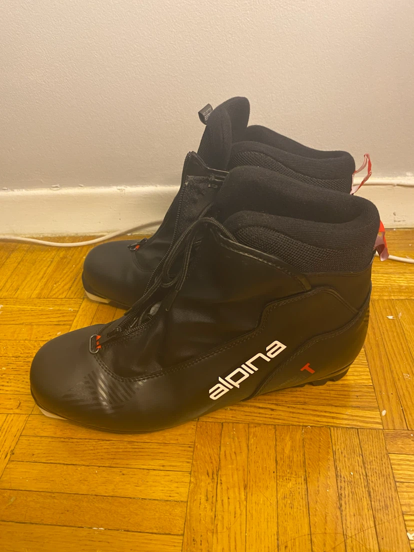 Alpina Ski Boots