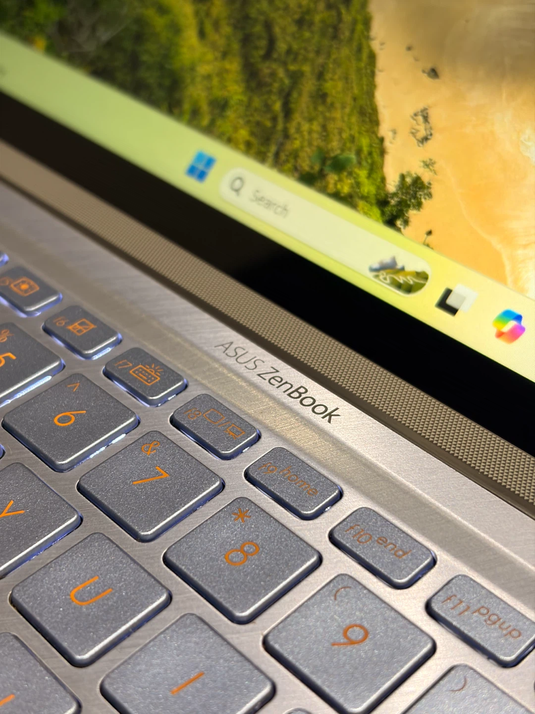 ASUS ZenBook 14 UX431 Laptop — i7-10th Gen / 8G / 256G / NVIDIA - photo 3
