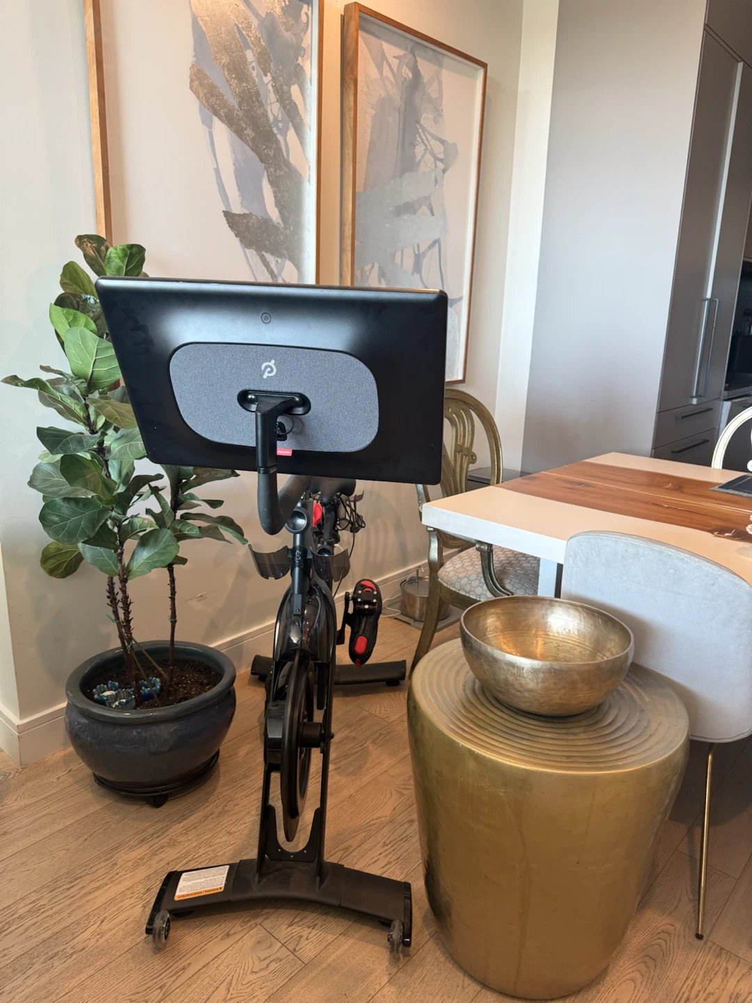 Peloton Bike+ mat + shoes + weights