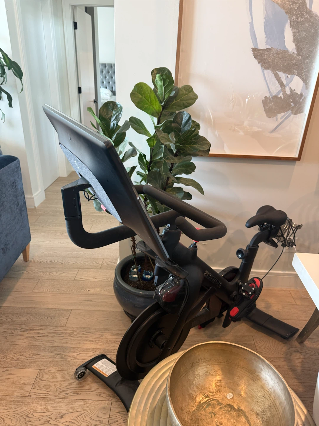 Peloton Bike+ mat + shoes + weights - photo 2