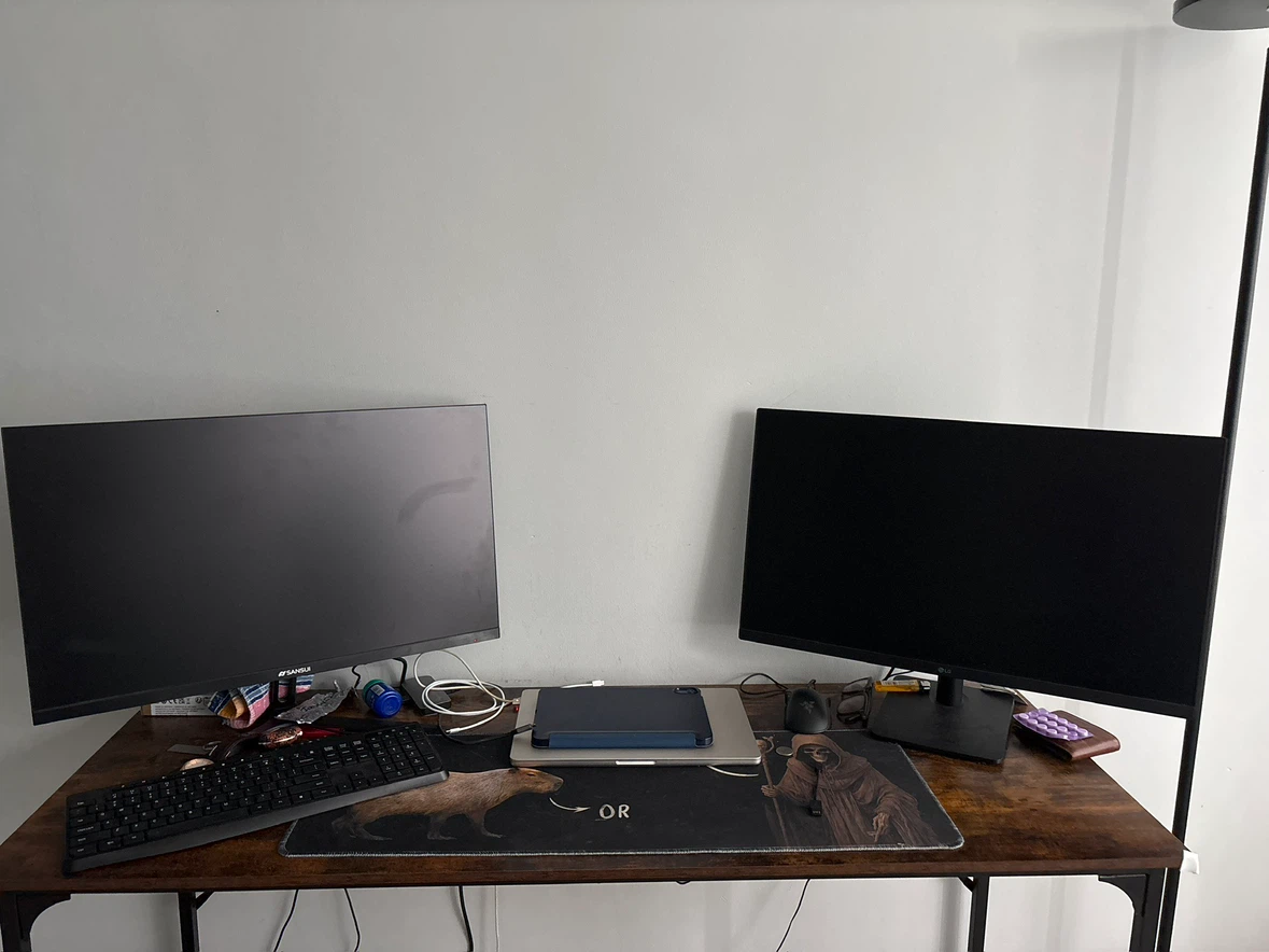 Sansui and LG 27 inch Monitors - photo 2