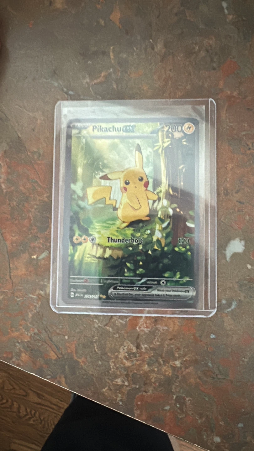 Pokemon Cards ( check my colletr )
