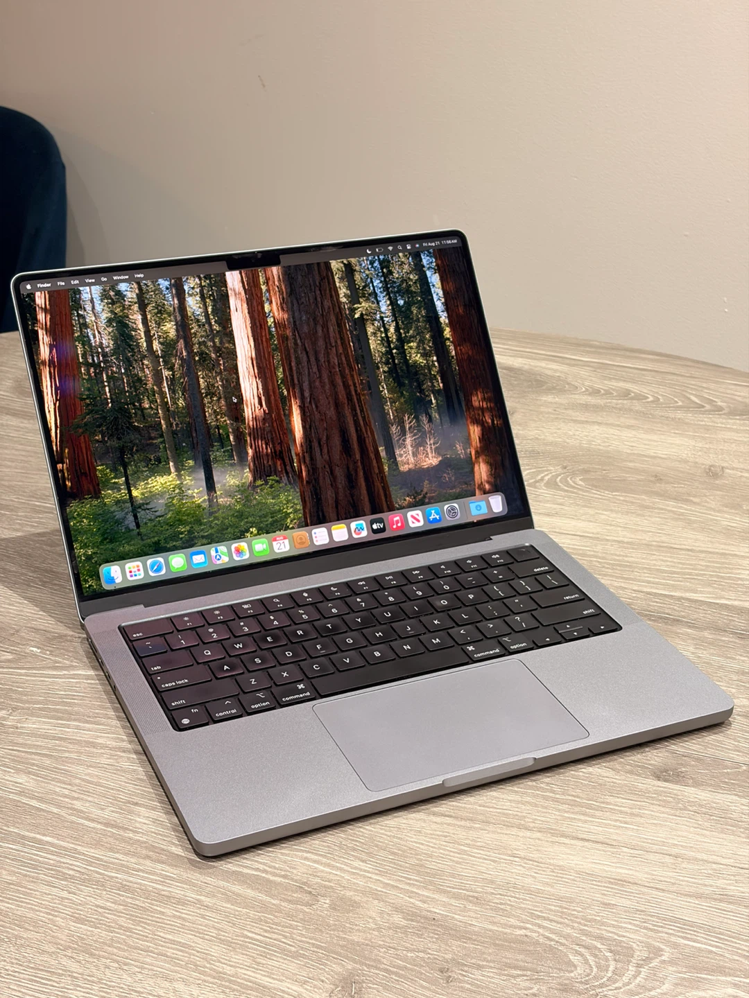 Apple MacBook Pro (14-inch, 2021, M1 Pro)