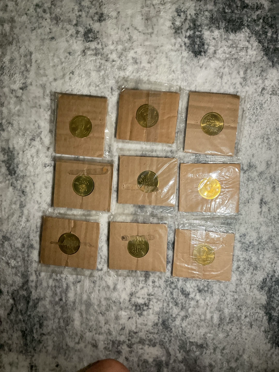 Gold coloured coin in protective sleeve