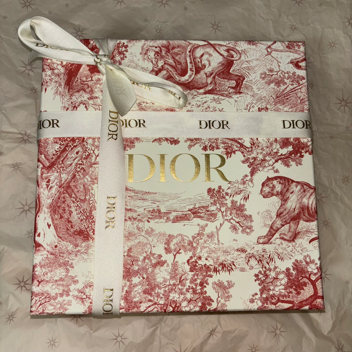 Authentic Empty Christian Dior Box